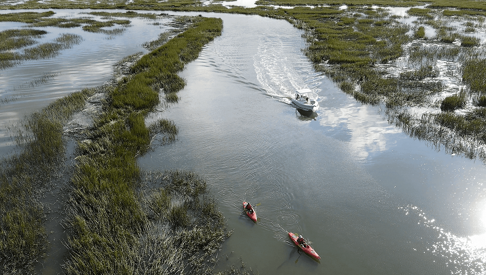 Two kayakers glide through a marshy area, immersed in nature with lush greenery and still waters around them.