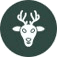 Buck Island Icon