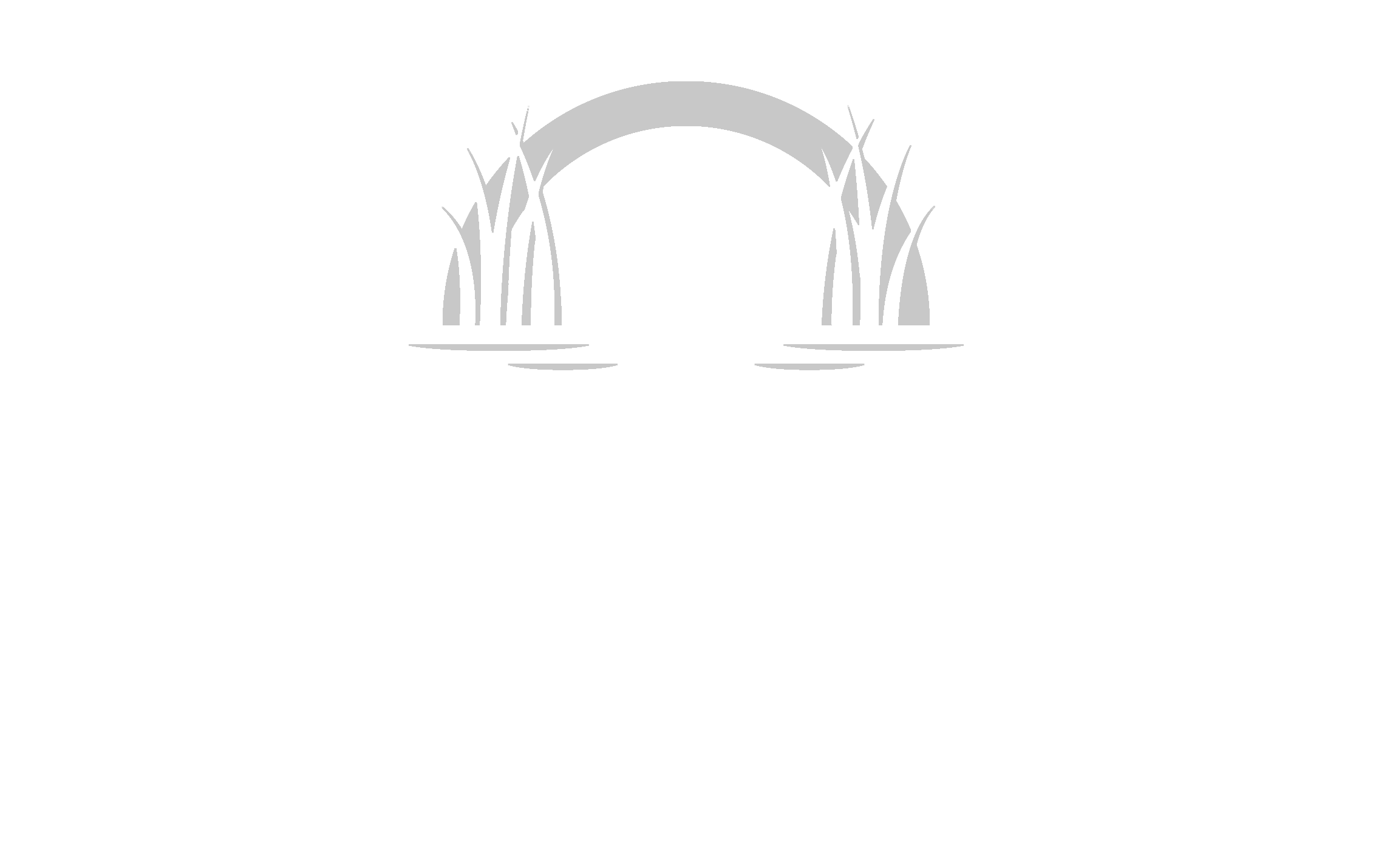 Hilton Head Boat Charters