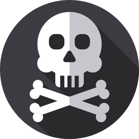 Skull Icon