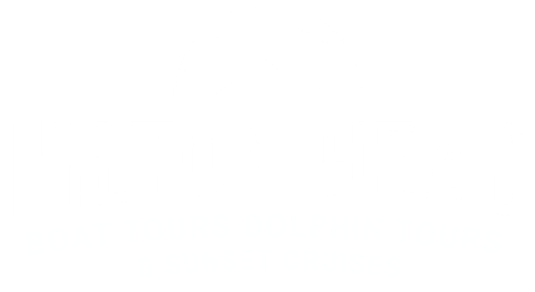 Hilton Head Boat Tours Dolphin Tours & Sunset Cruises